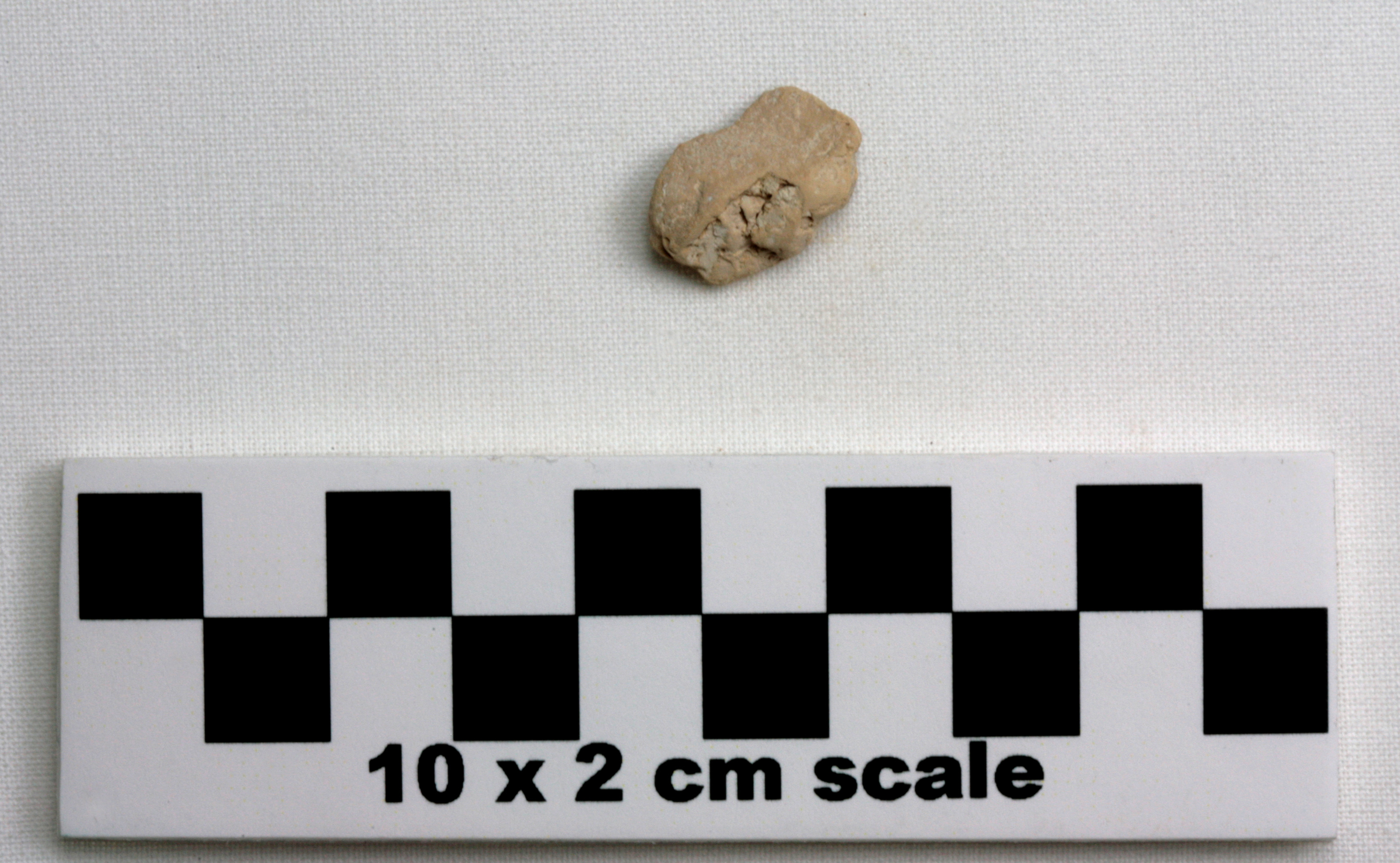 Image of item of type Pottery and color Very pale brown