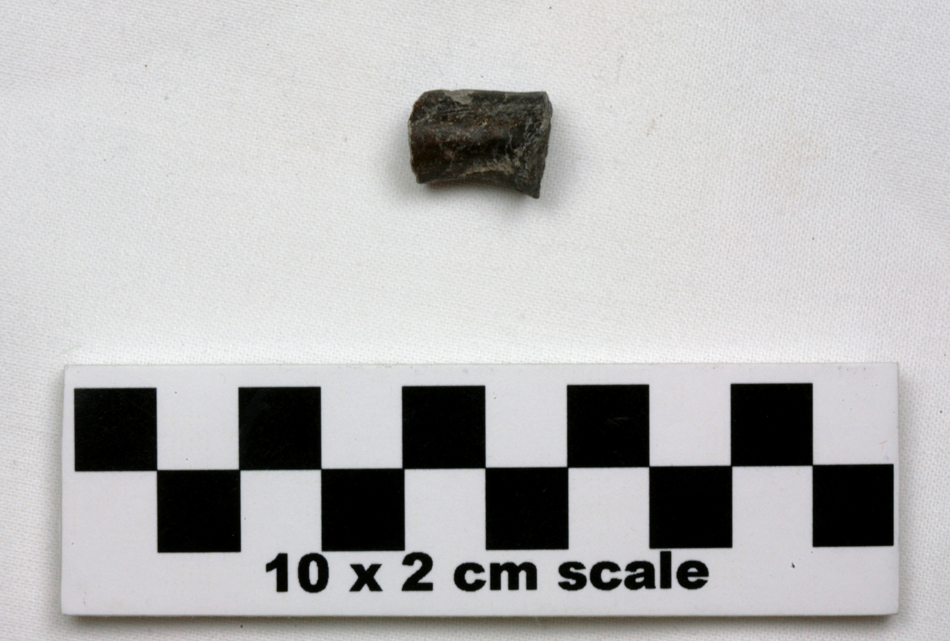 Image of item of type Pottery and color Light gray, fired gray in some places