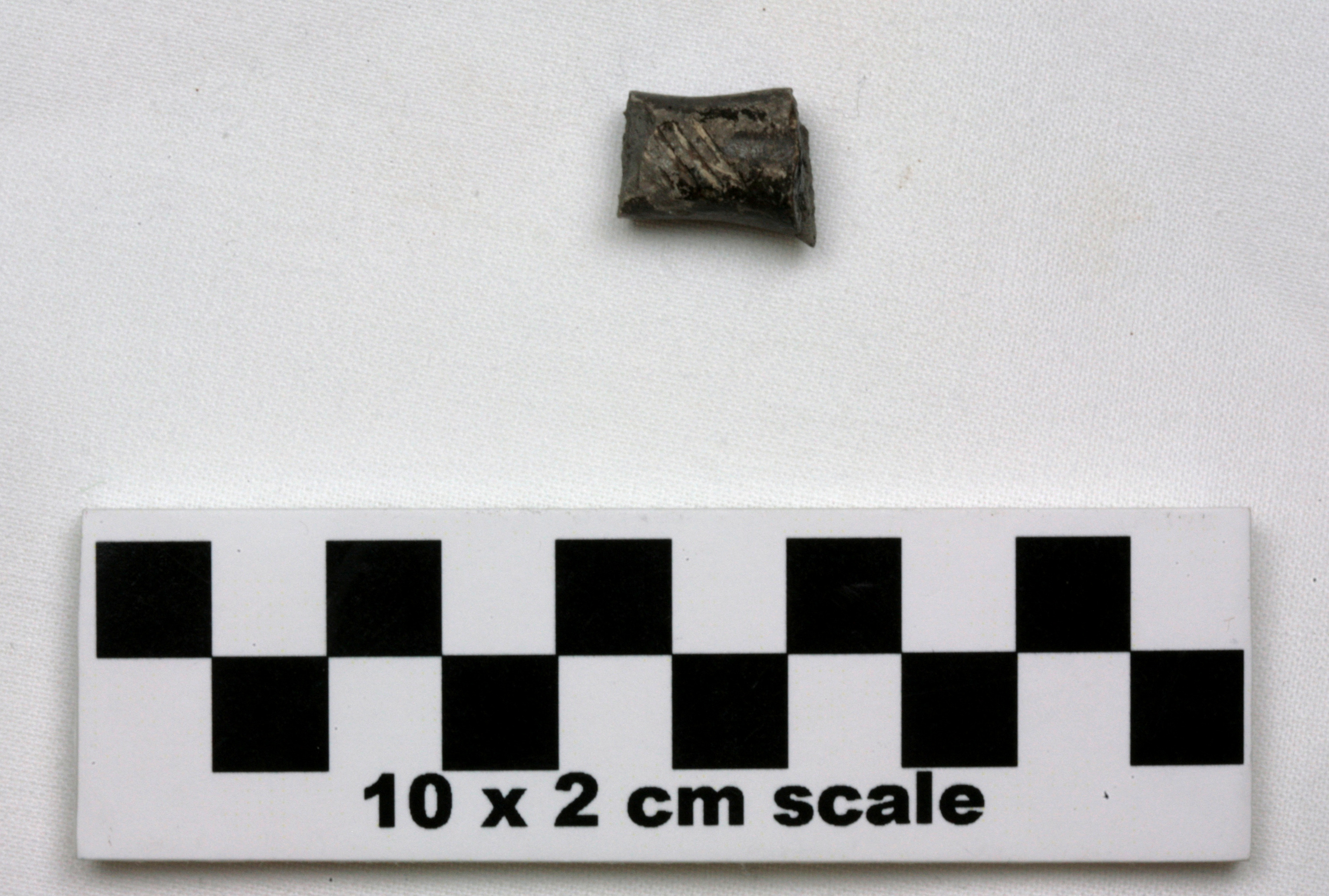 Image of item of type Pottery and color Light gray, fired gray in some places