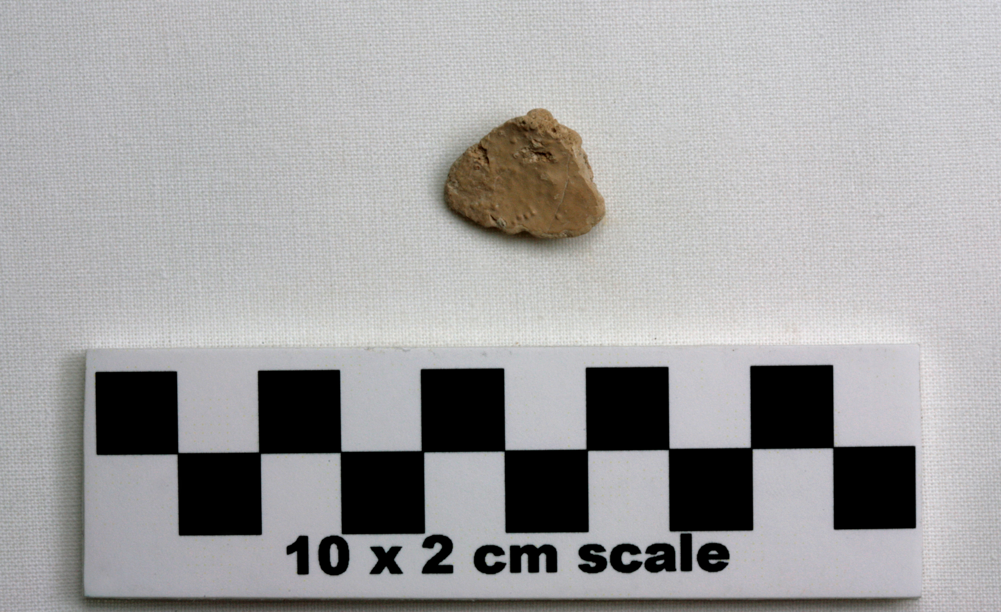 Image of item of type Other and color Very pale brown