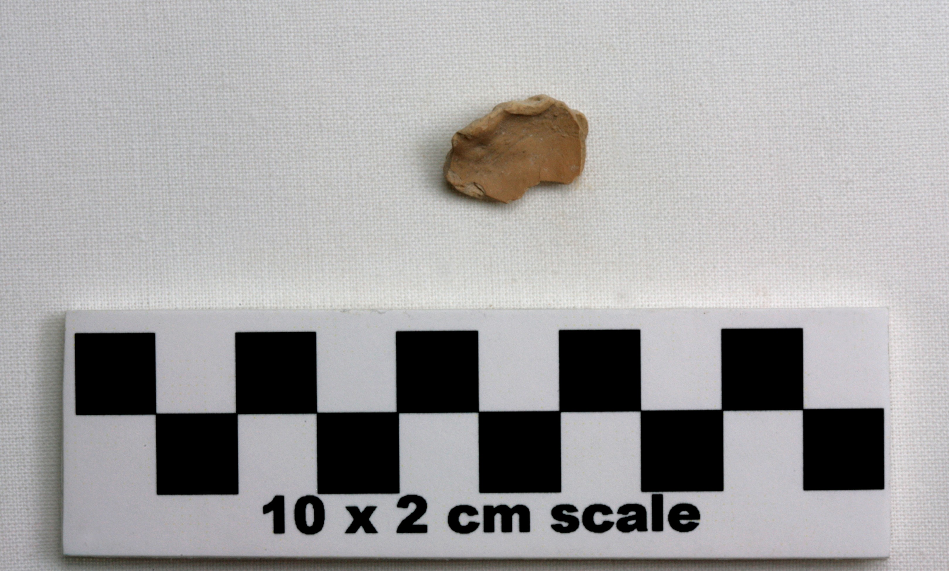 Image of item of type Pottery and color Very pale brown