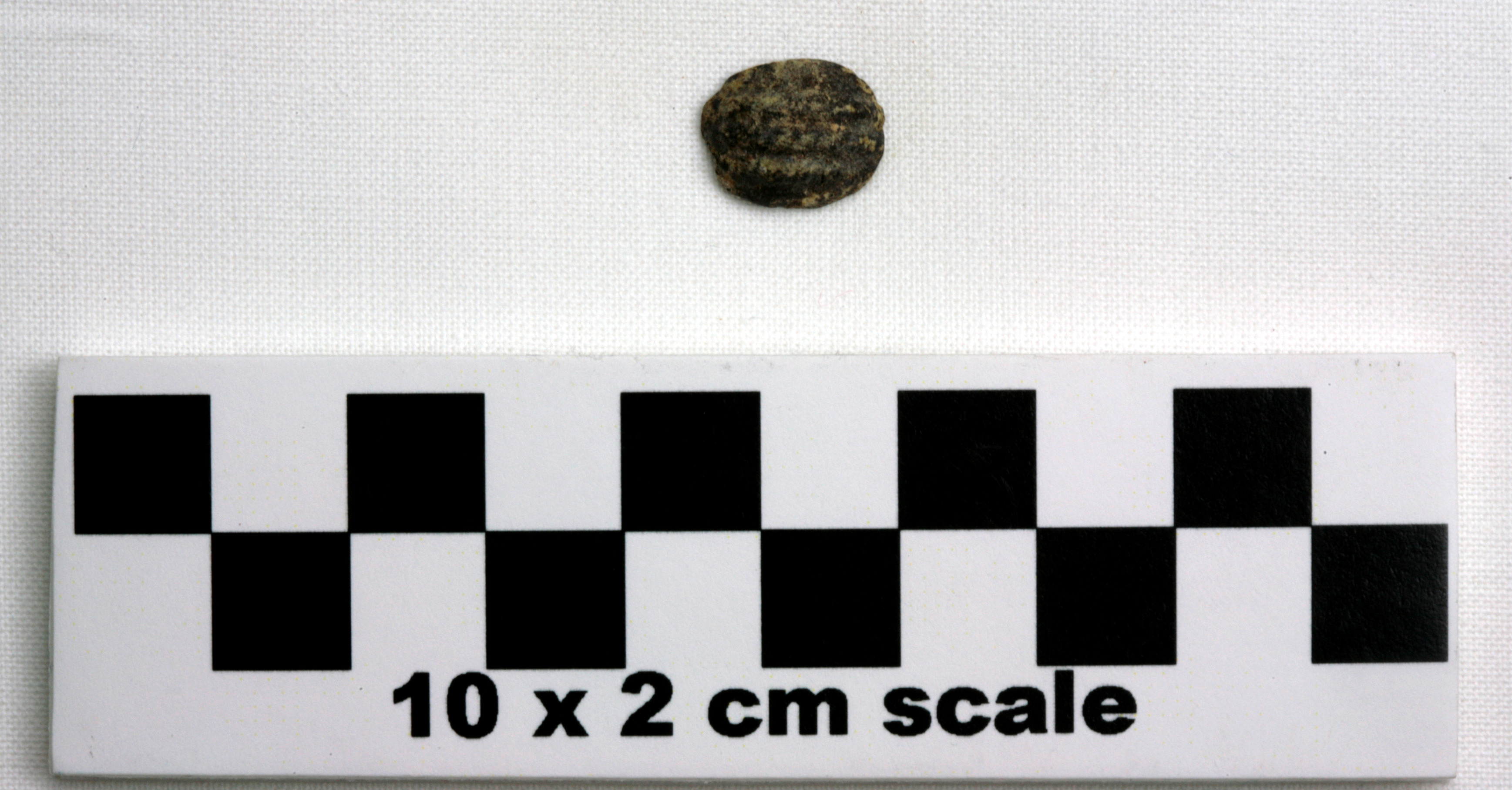 Image of item of type Other and color Pale Yellow