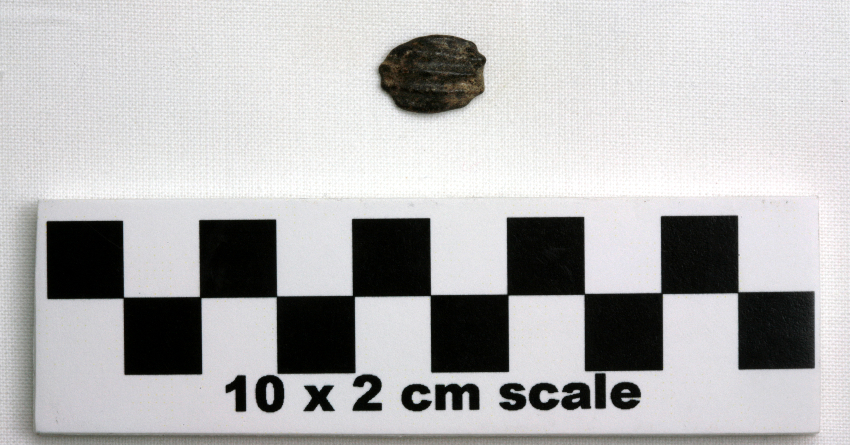 Image of item of type Other and color Light brownish yellow