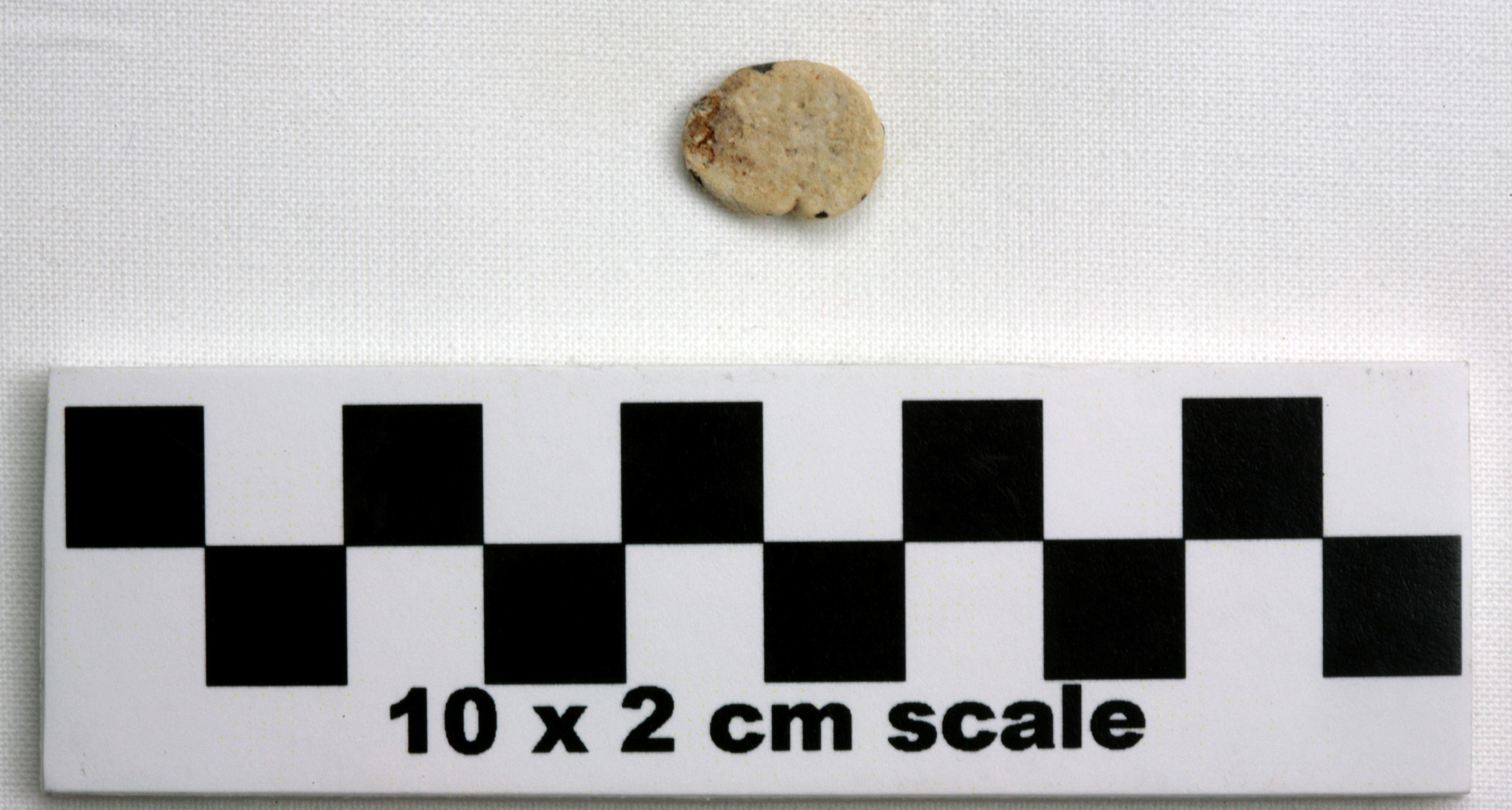 Image of item of type Other and color Pale Yellow