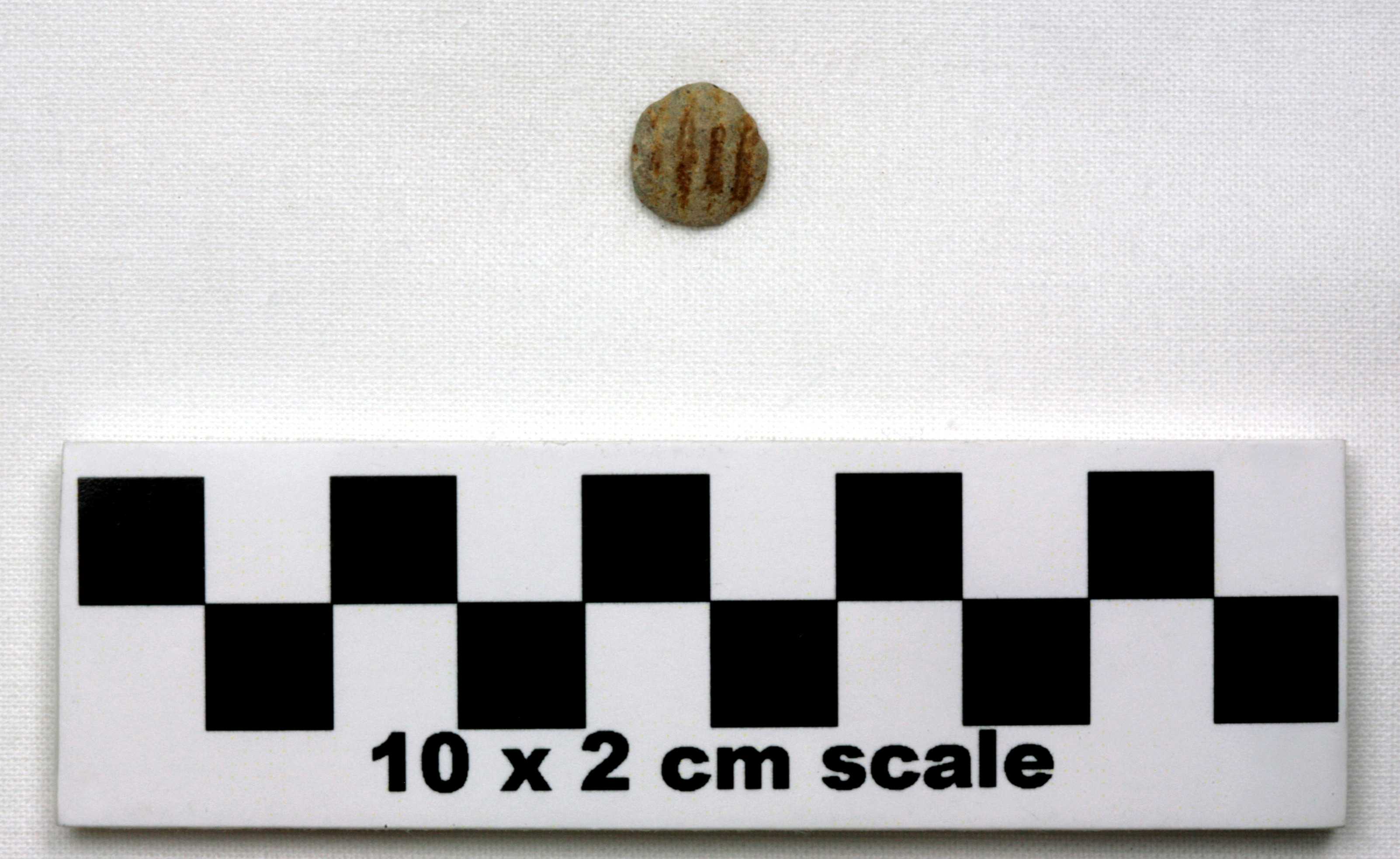 Image of item of type Other and color Pale Yellow