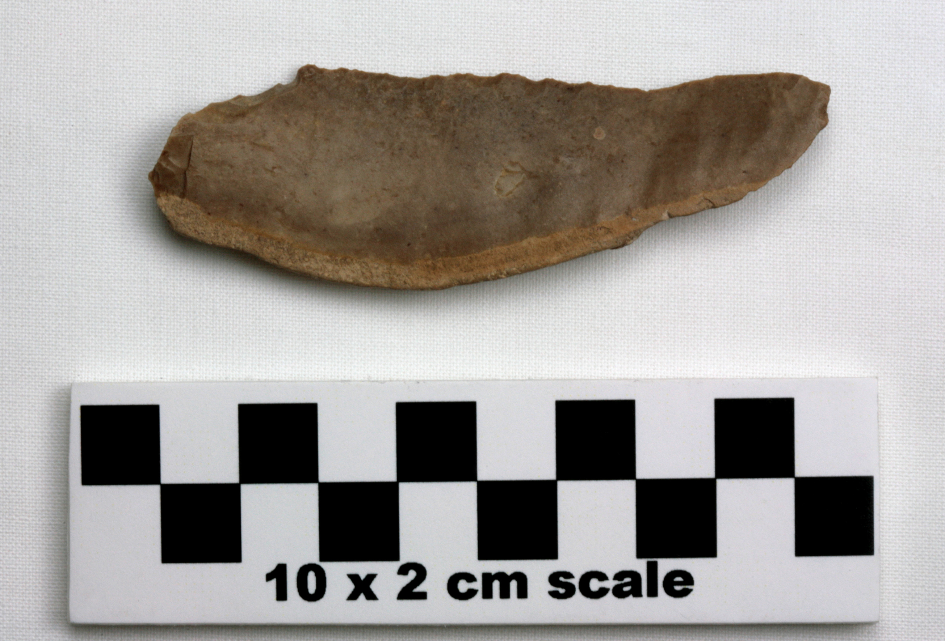 Image of item of type Other and color brown, light yellowish brown, very pale brown