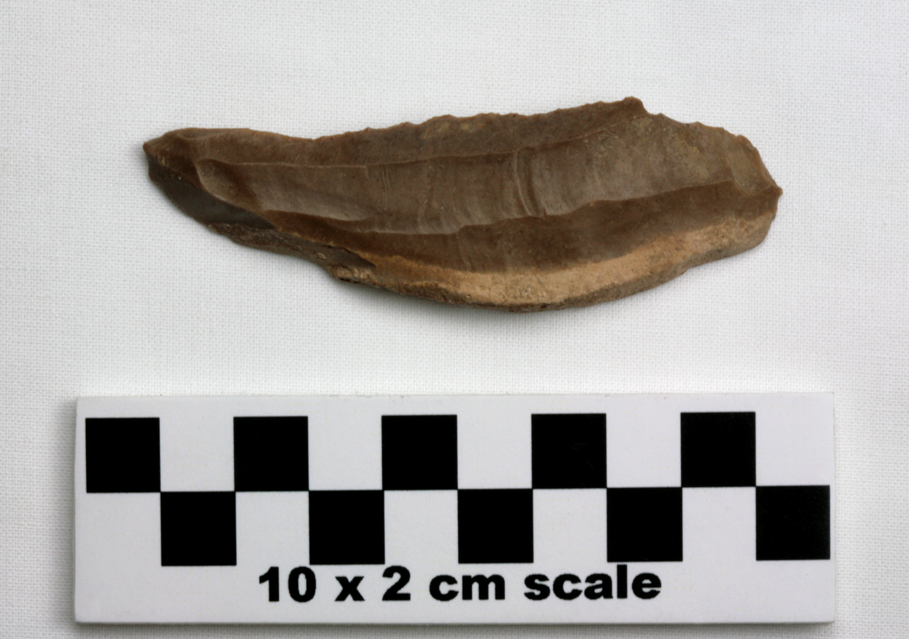 Image of item of type Other and color brown, light yellowish brown, very pale brown