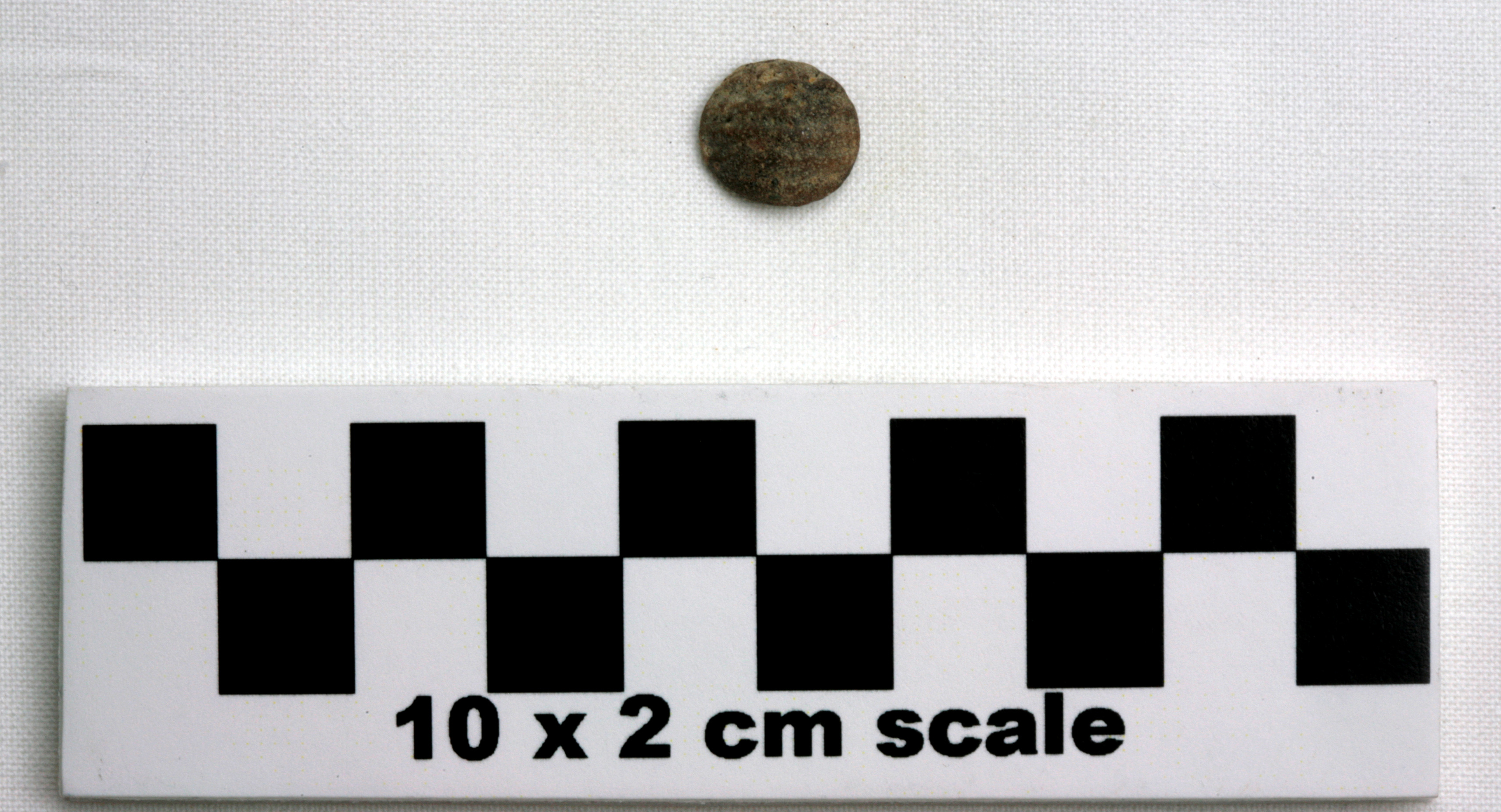 Image of item of type Other and color Very pale brown