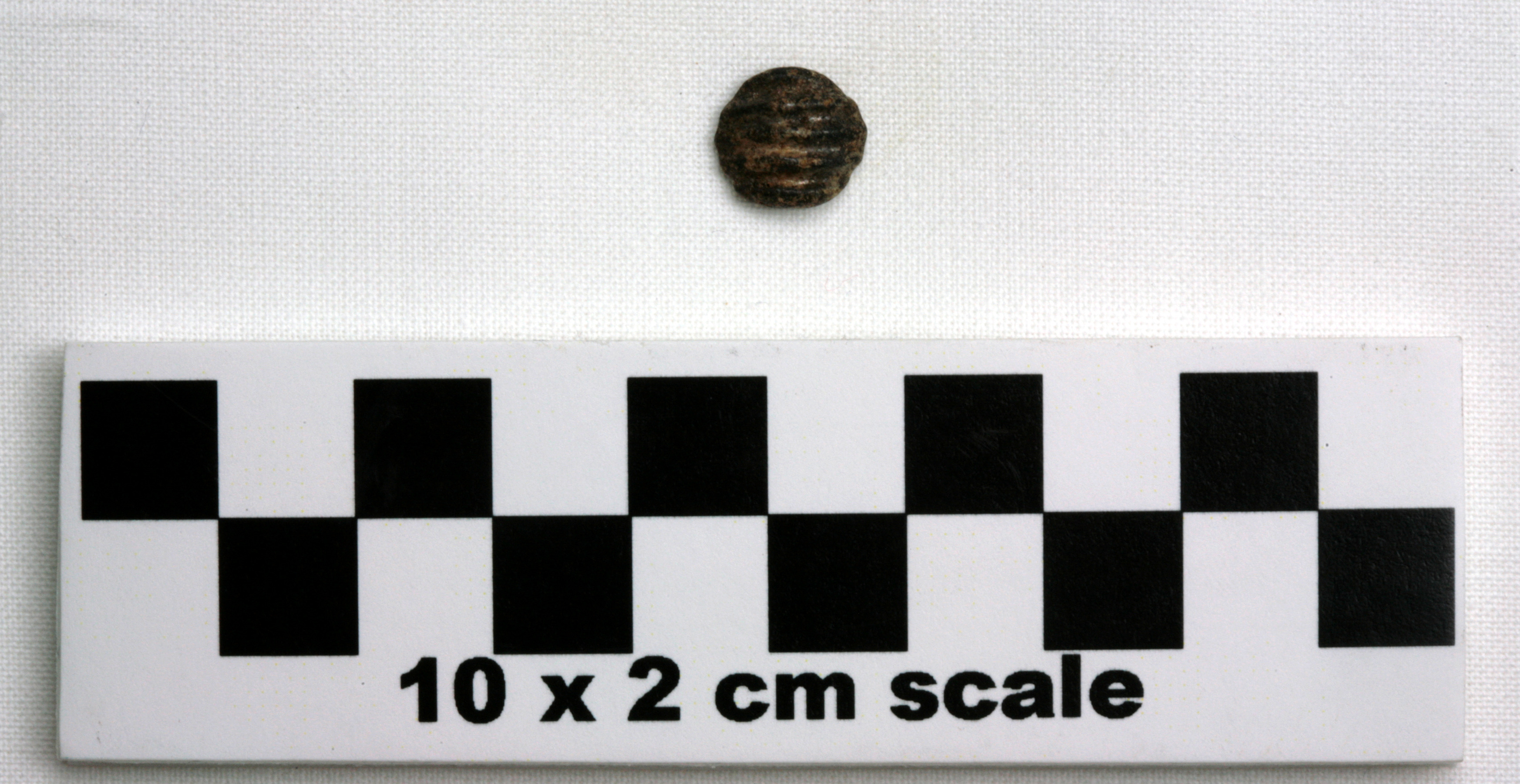 Image of item of type Other and color Light yellowish-brown