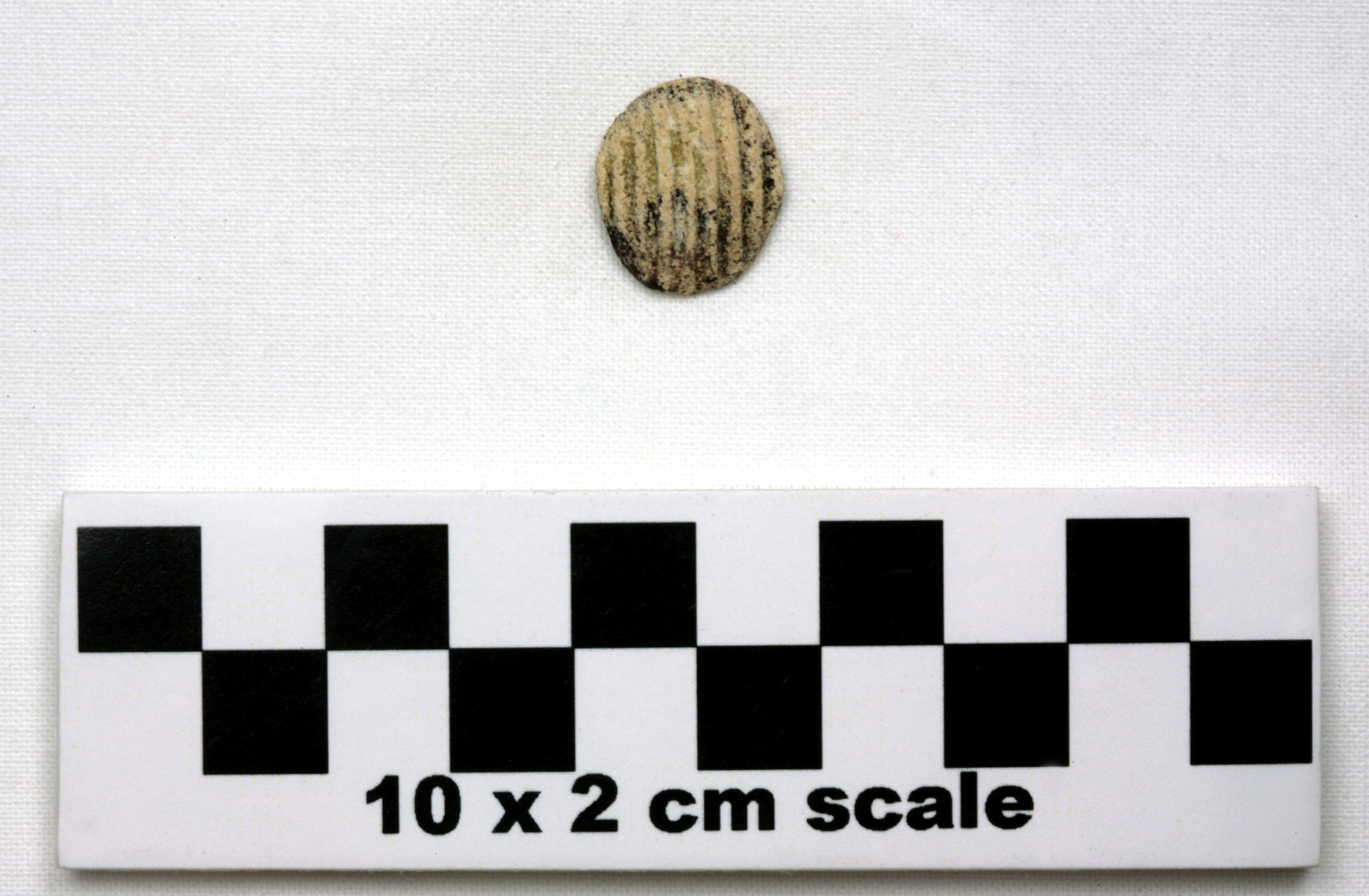 Image of item of type Other and color Pale Yellow