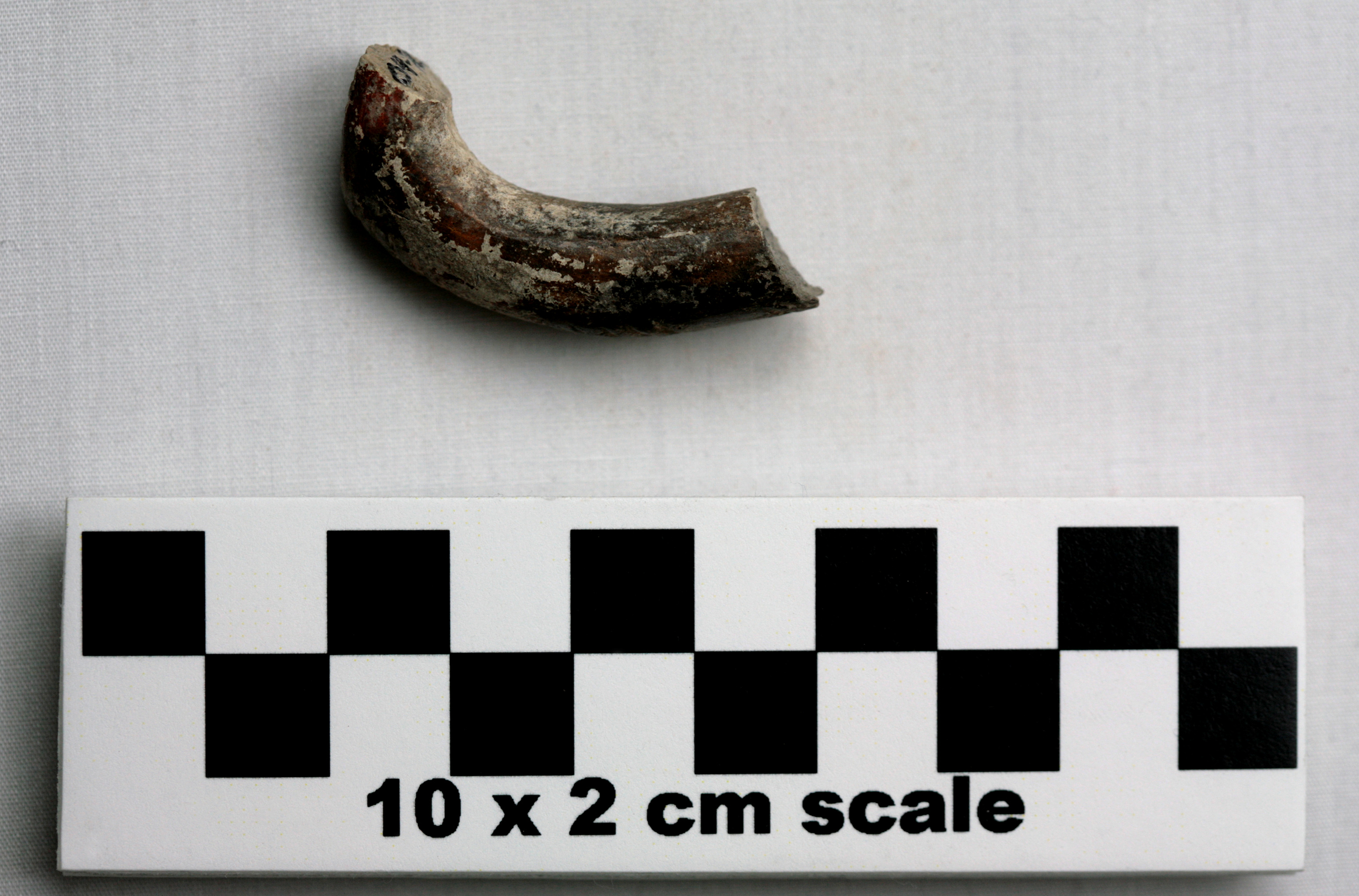 Image of item of type Pottery and color Light gray