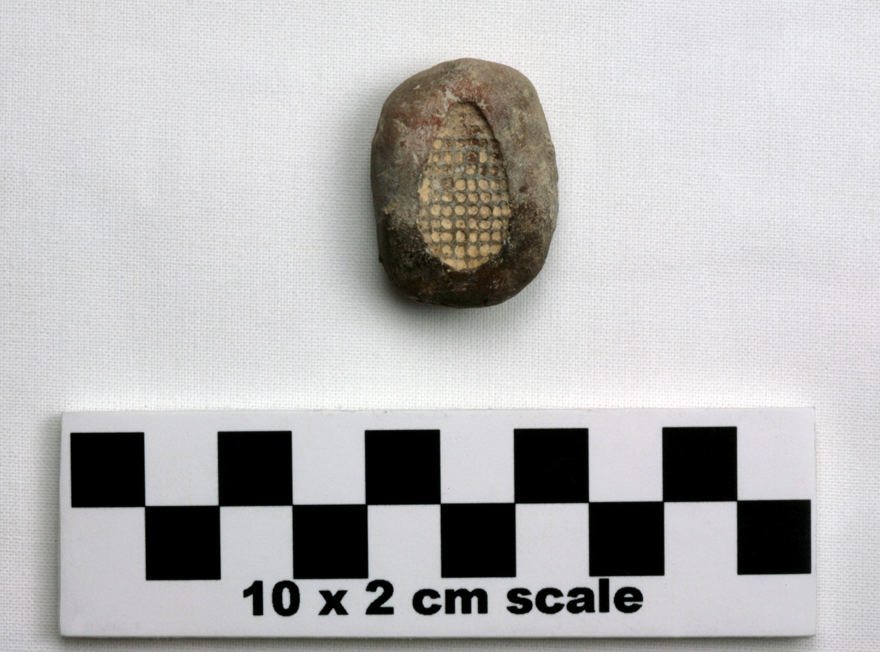 Image of item of type Other and color Light brown