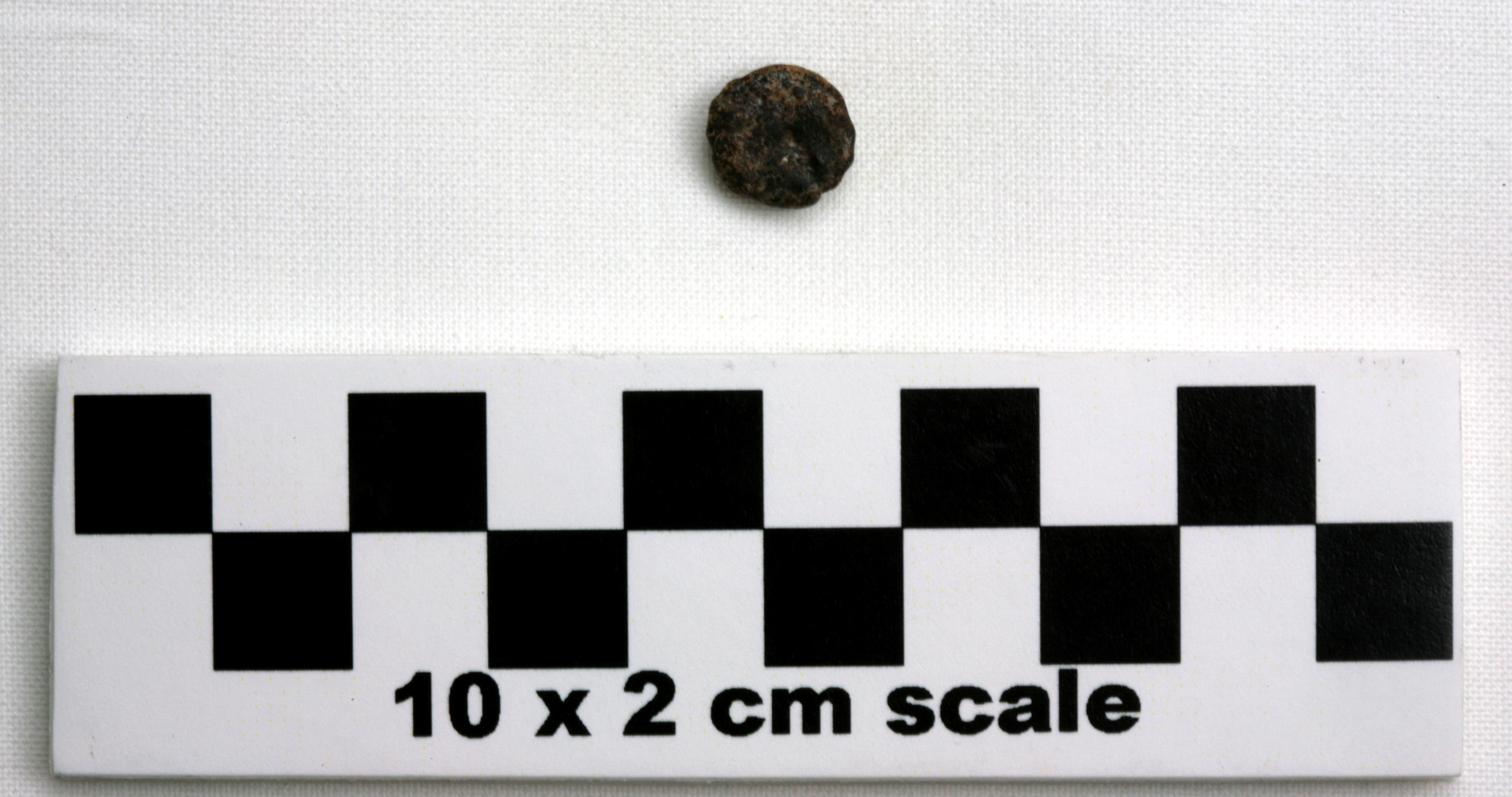 Image of item of type Other and color Light yellowish-brown