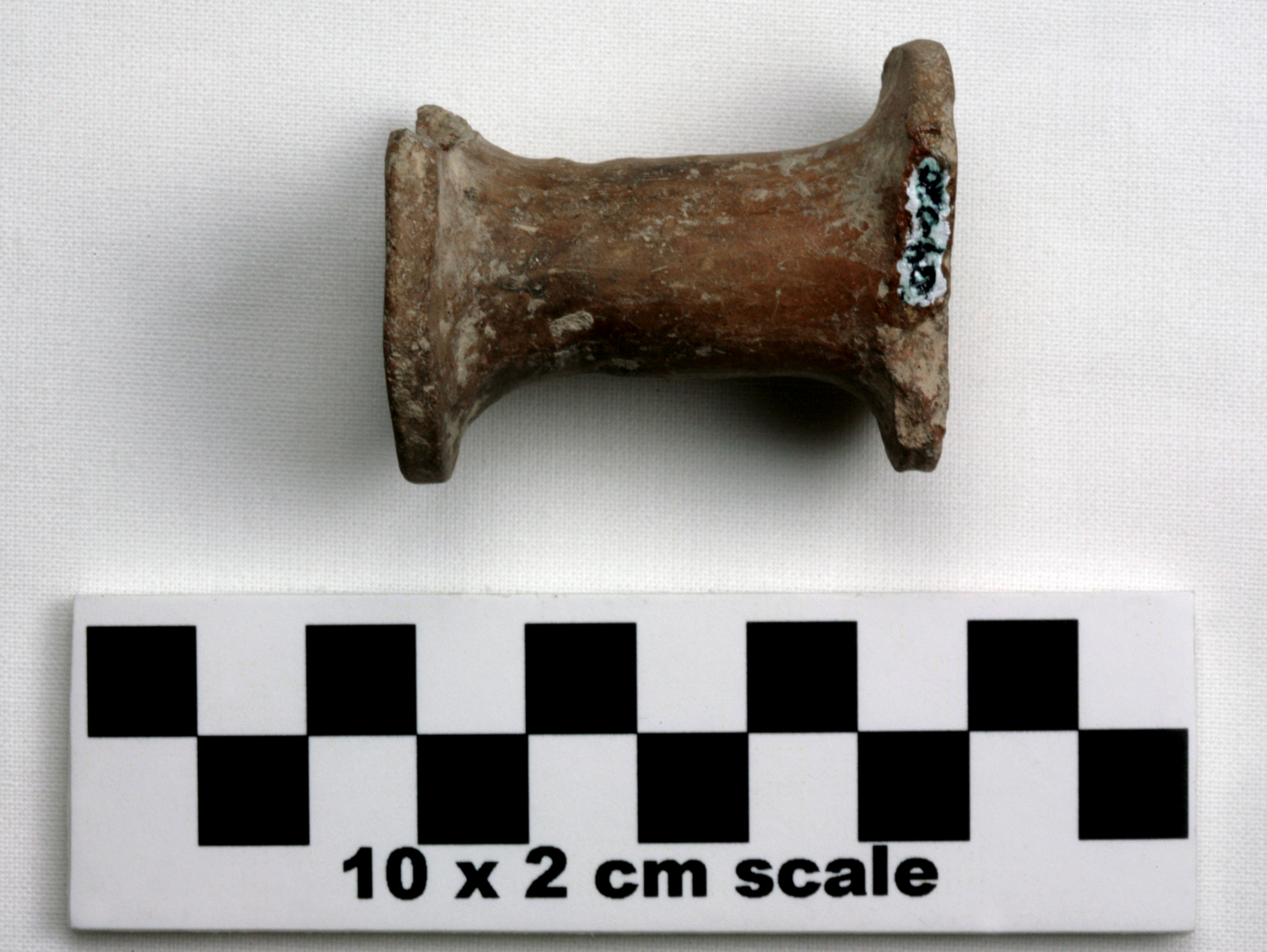 Image of item of type Pottery and color reddish Brown