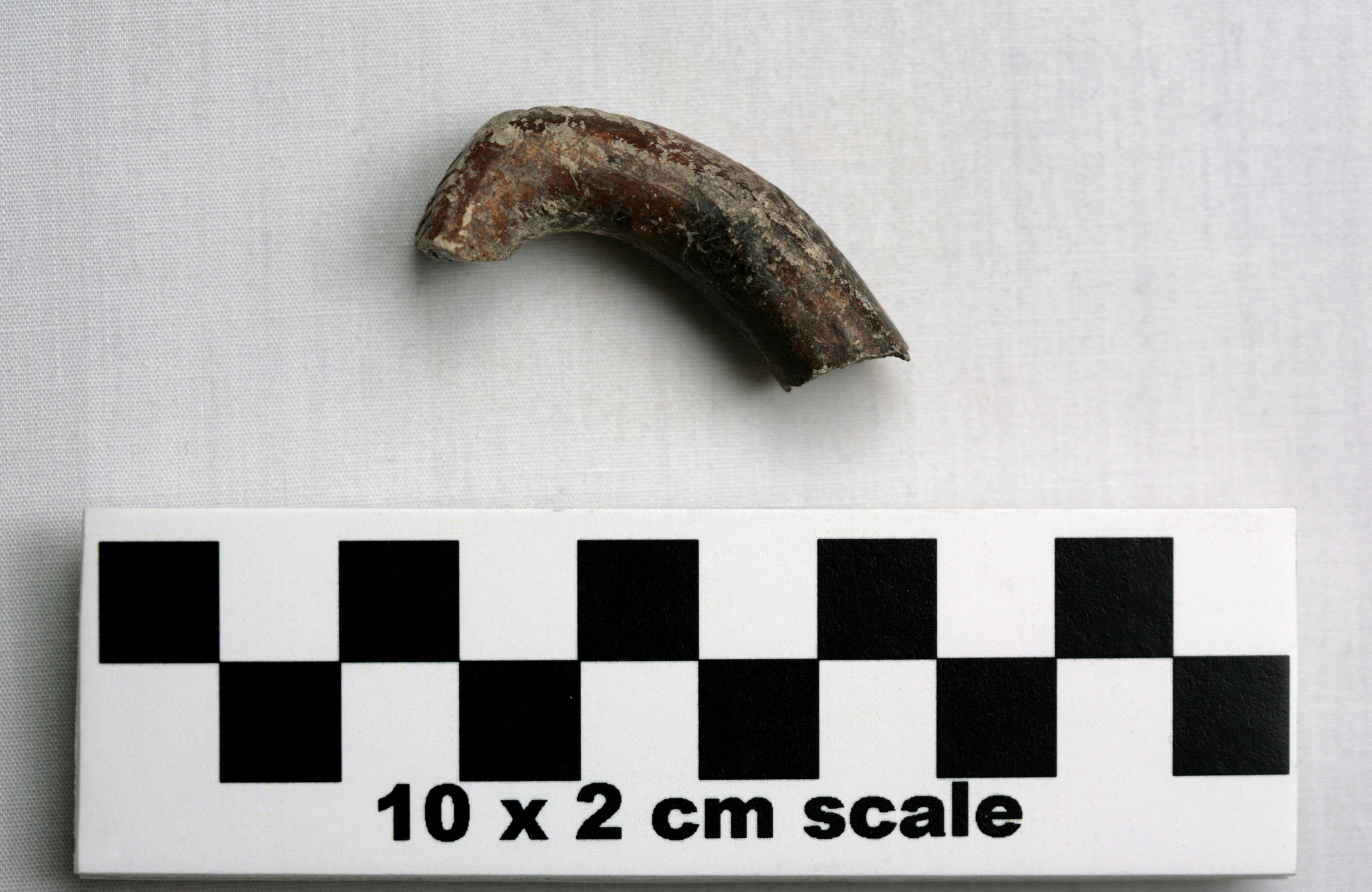 Image of item of type Pottery and color Light gray