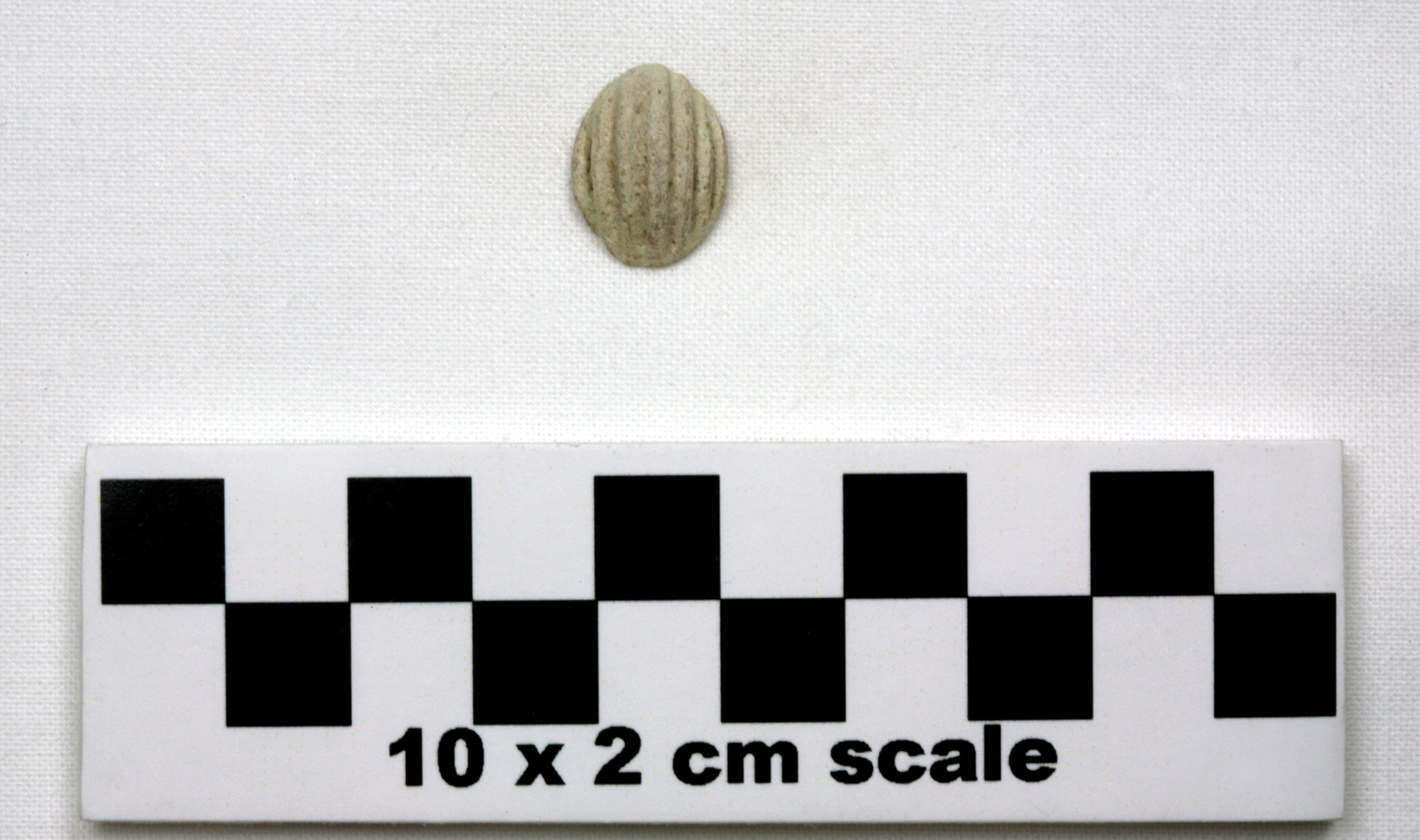 Image of item of type Other and color Pale yellow