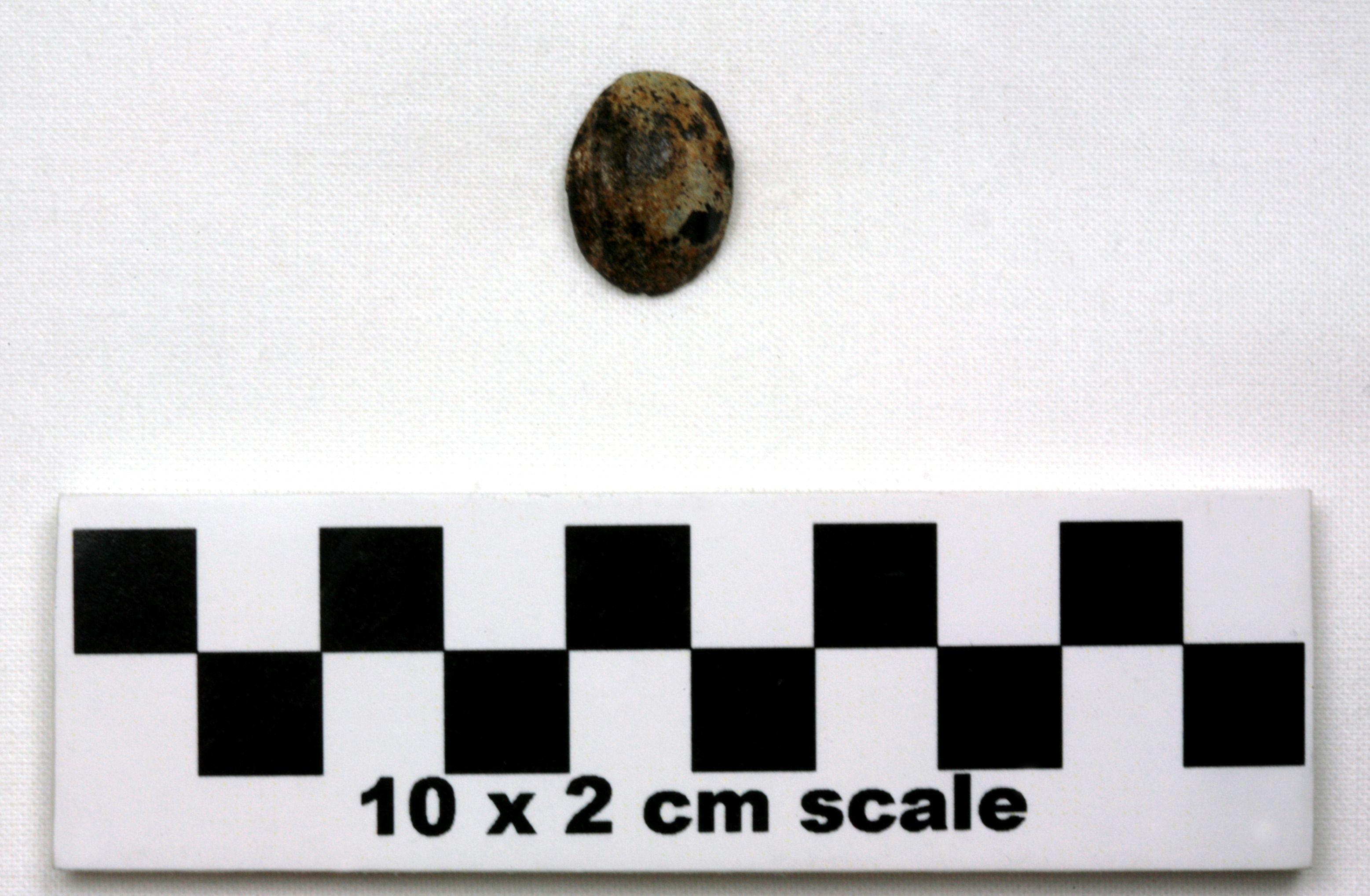 Image of item of type Other and color Light gray