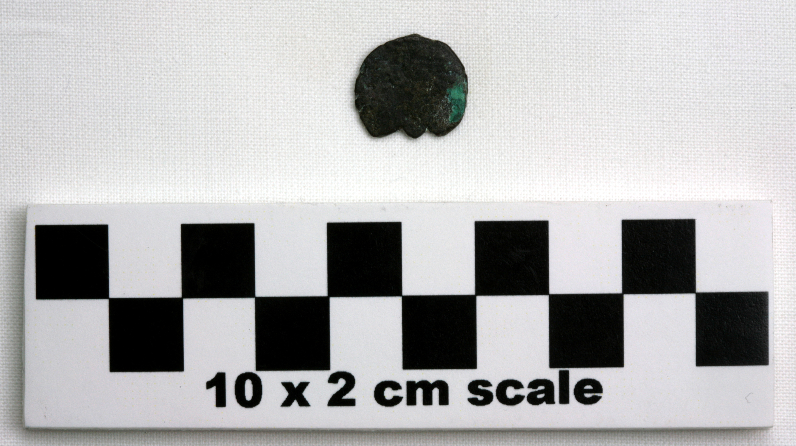 Image of item of type Coin and color greenish black, corrosion-bluish green, pale green