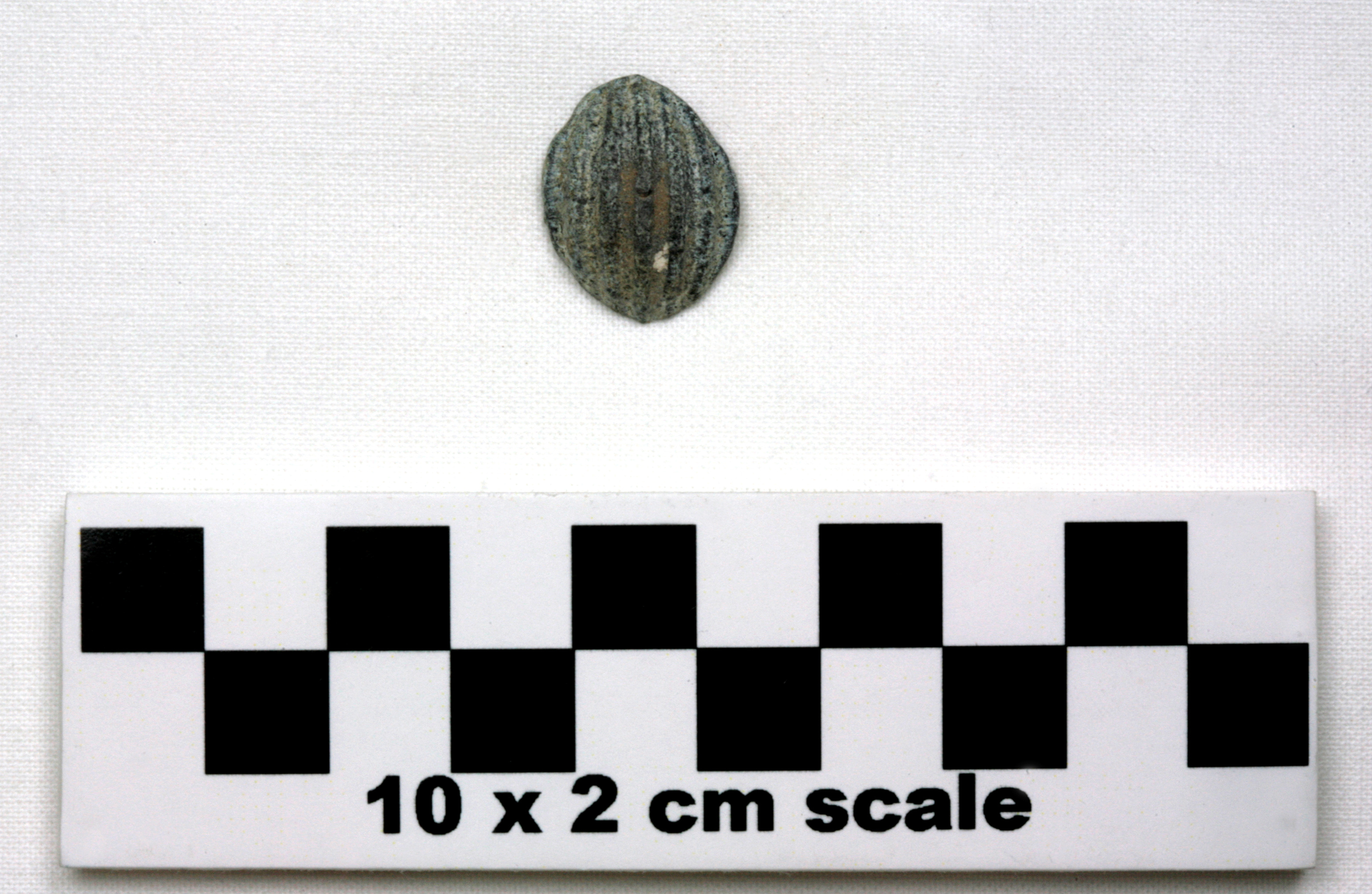 Image of item of type Other and color White