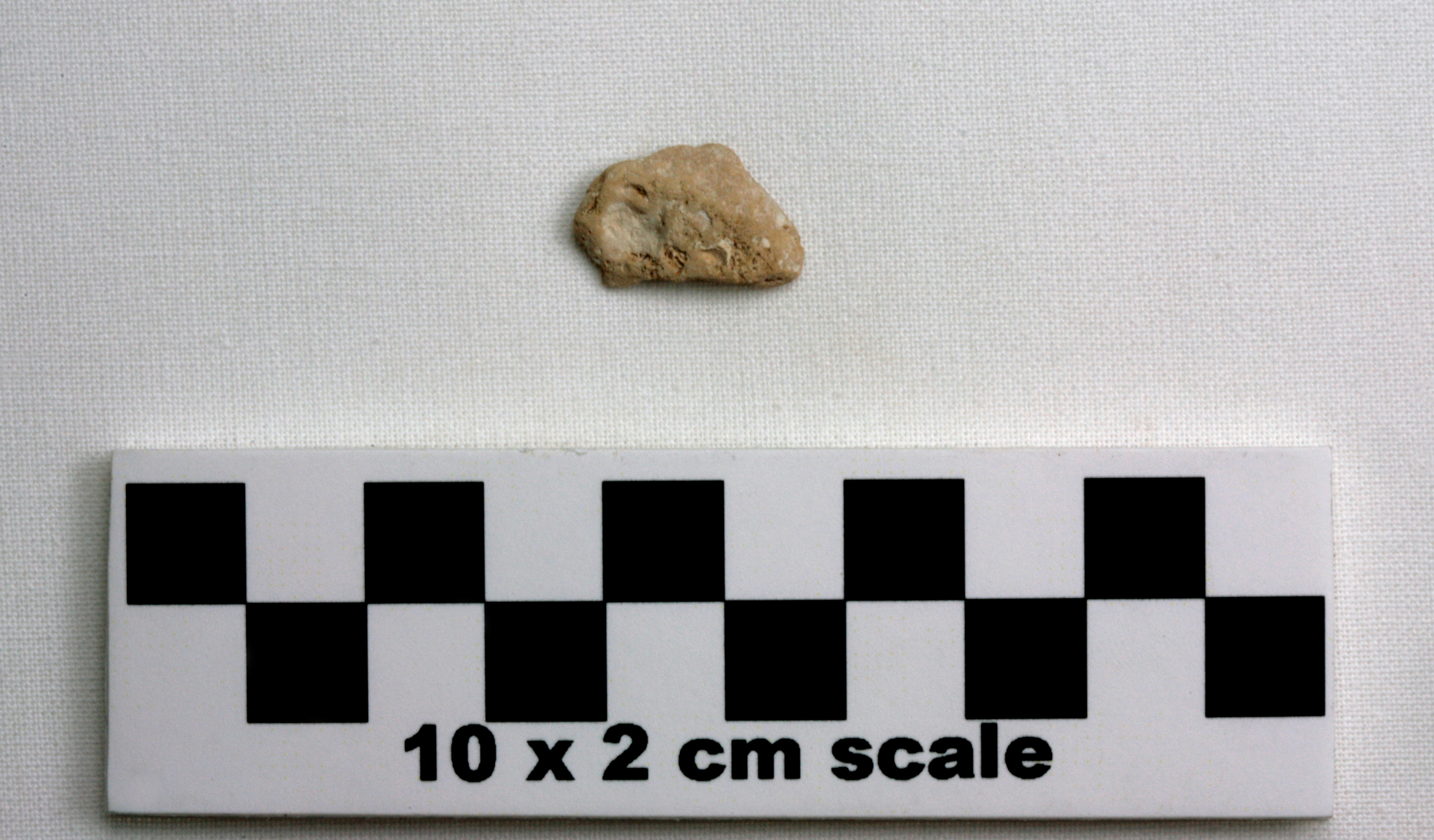 Image of item of type Pottery and color Very pale brown