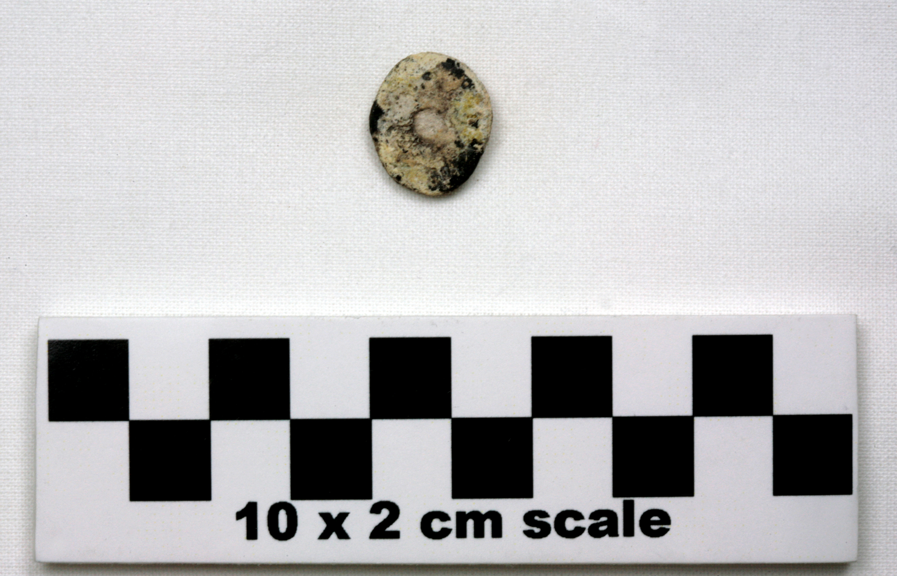 Image of item of type Other and color Pale Yellow