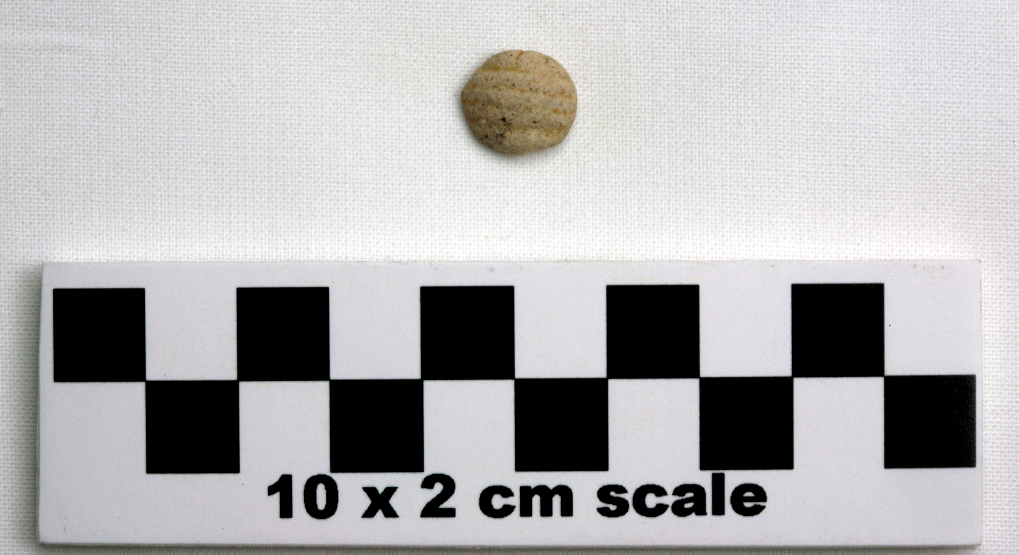 Image of item of type Other and color Pale yellow