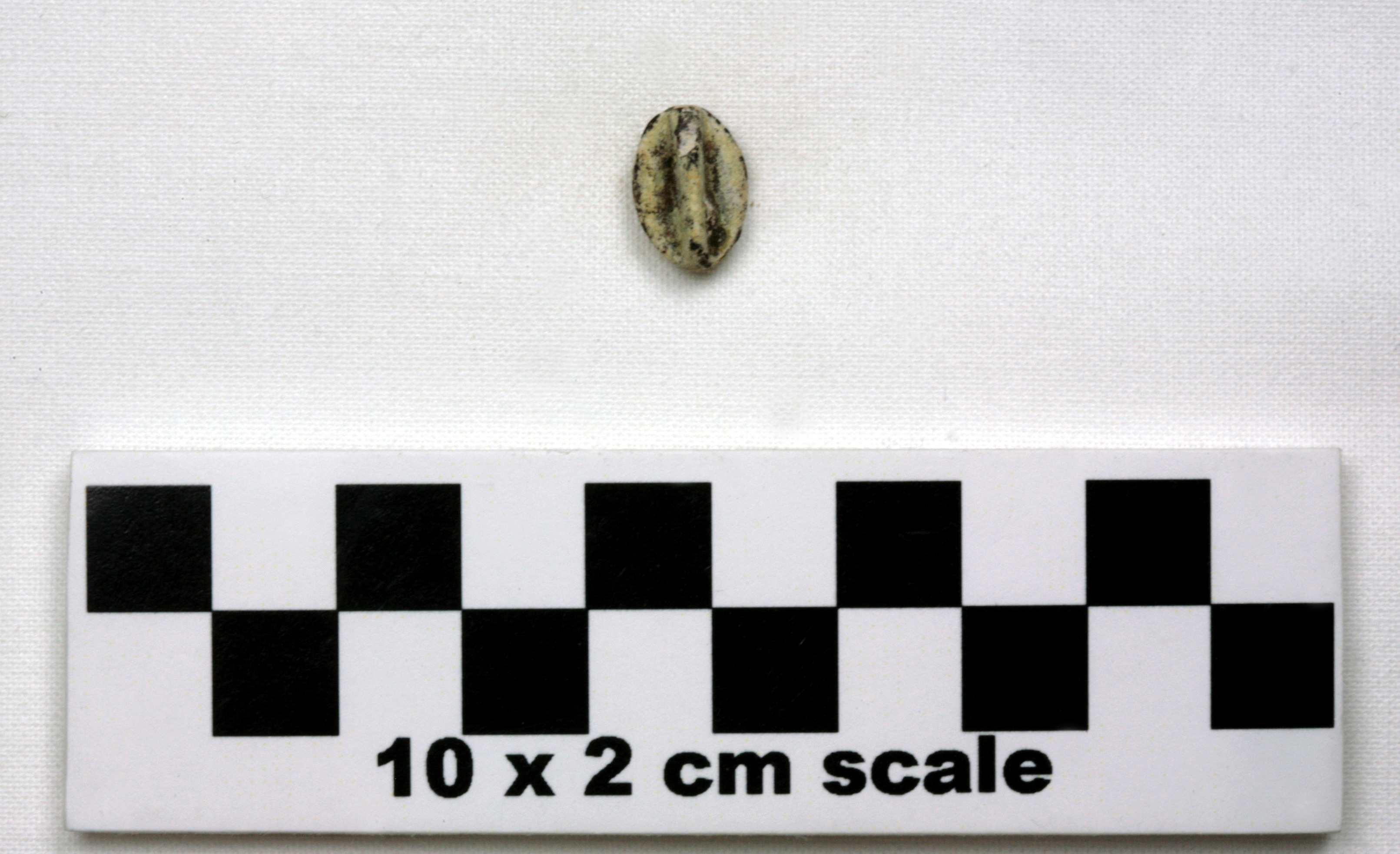 Image of item of type Other and color Pale yellow