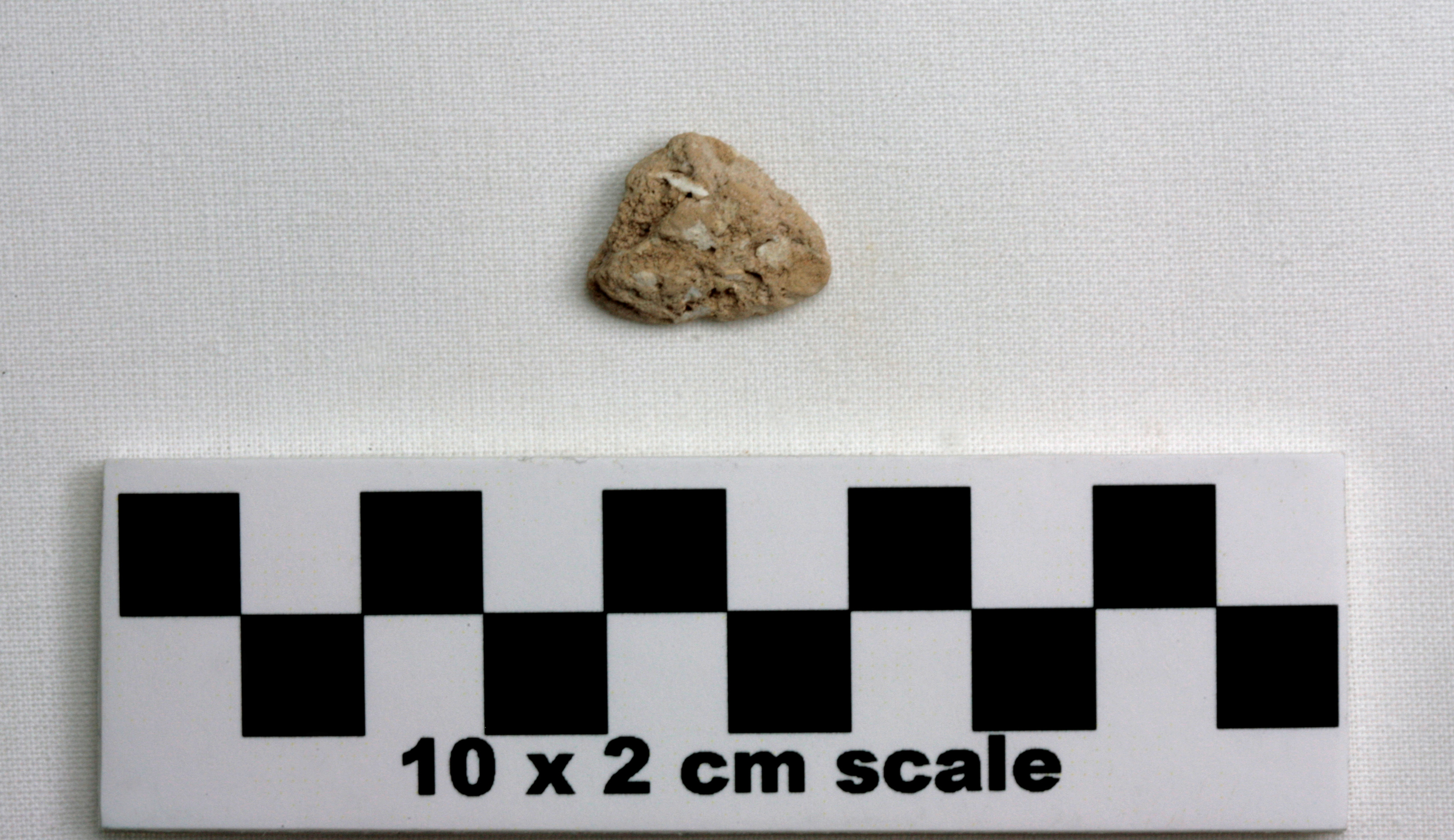 Image of item of type Other and color Very pale brown